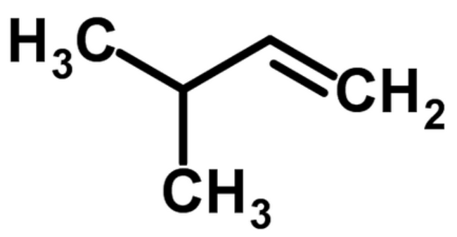 Isopropylethylene