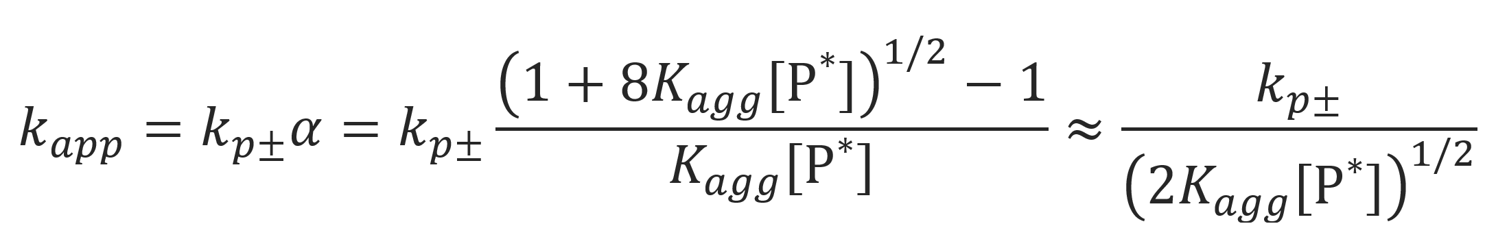Anionic Initiation