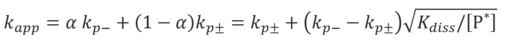 Anionic Initiation