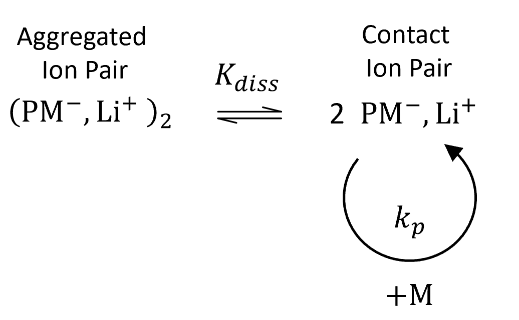 Anionic Initiation