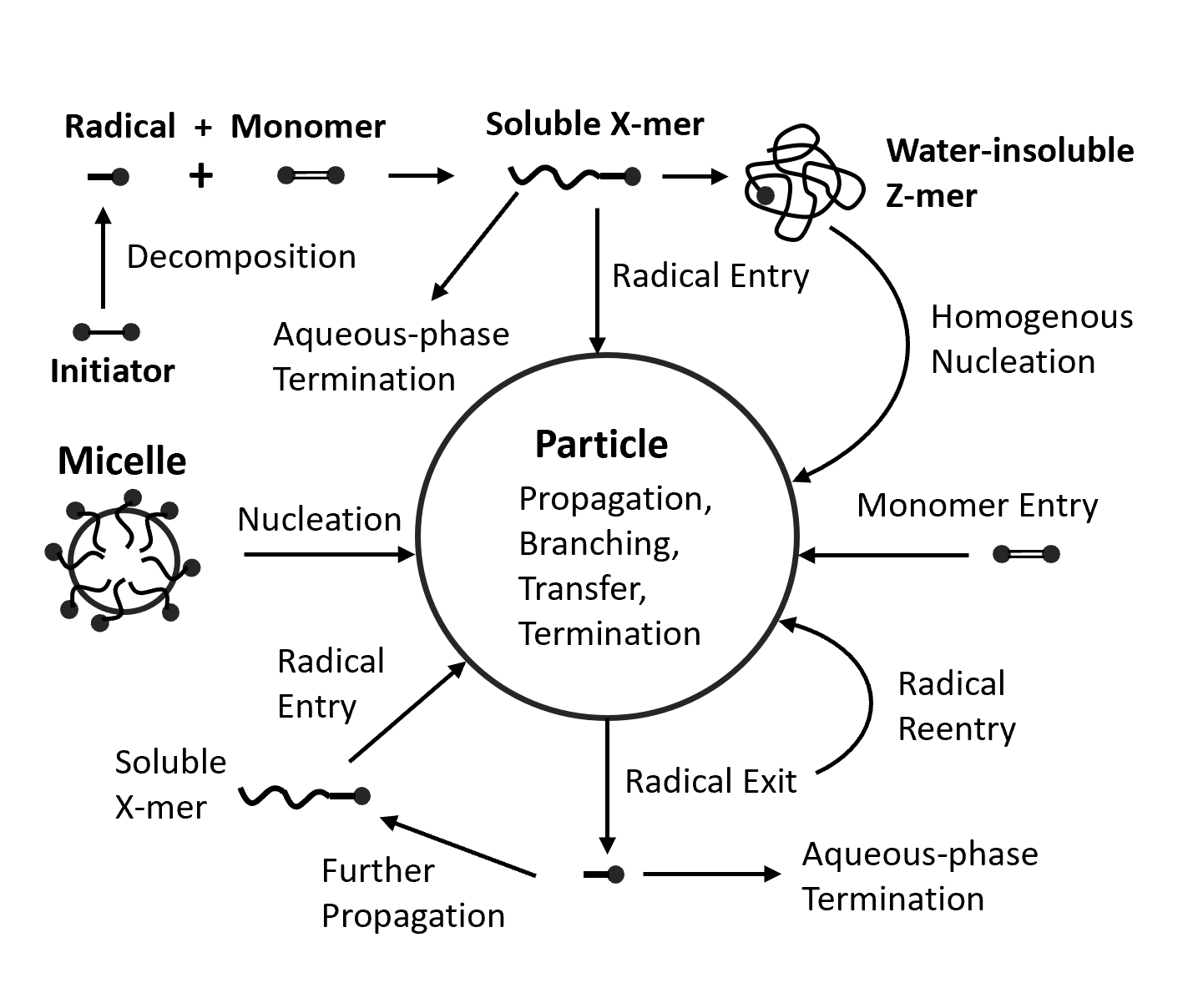 Emulsion Polymerization