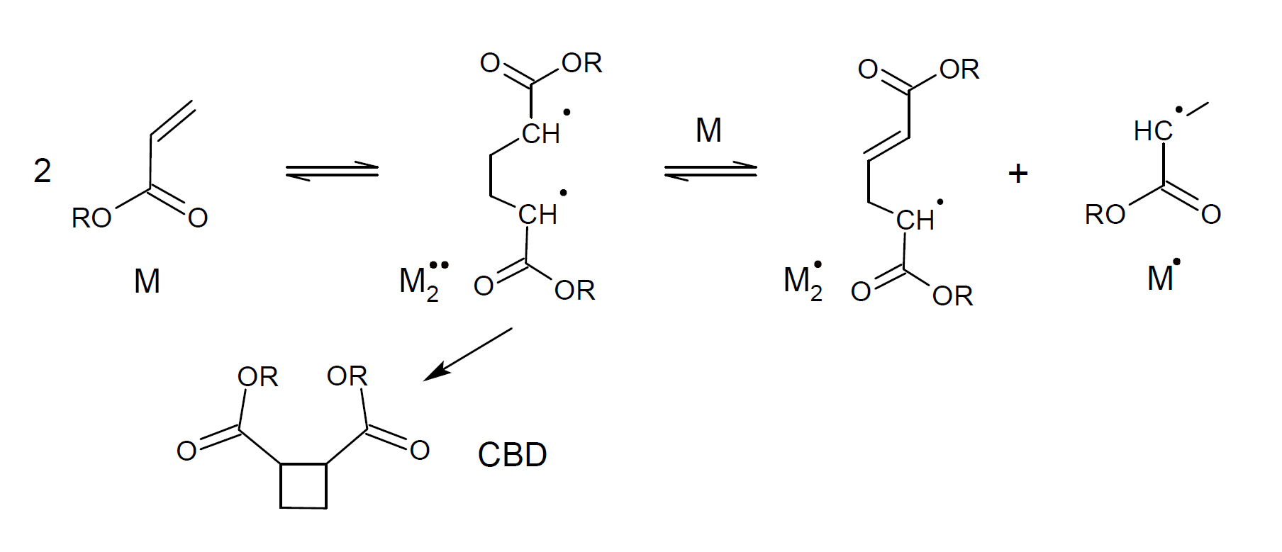 Flory Mechanism 