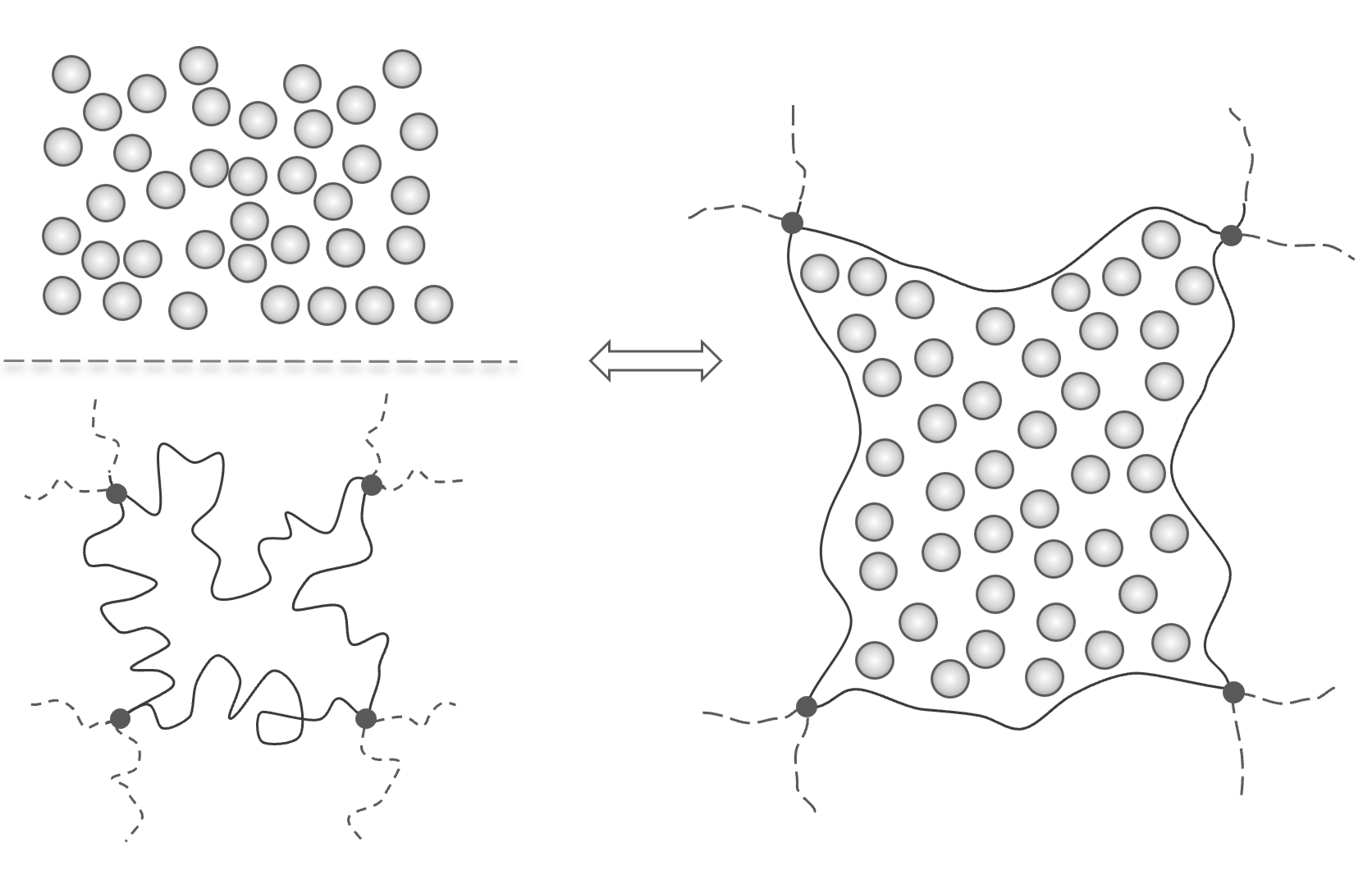 Rubber Elasticity